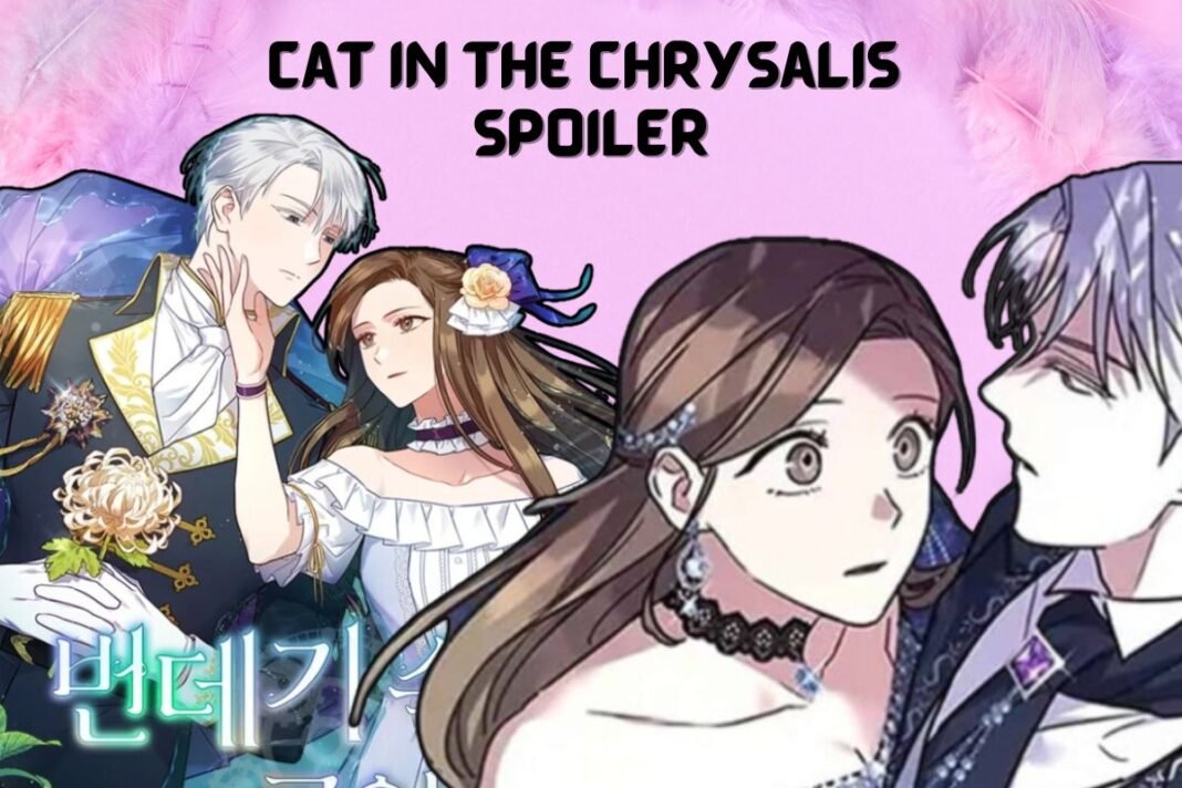 Cat in the Chrysalis: Unraveling the Spoiler